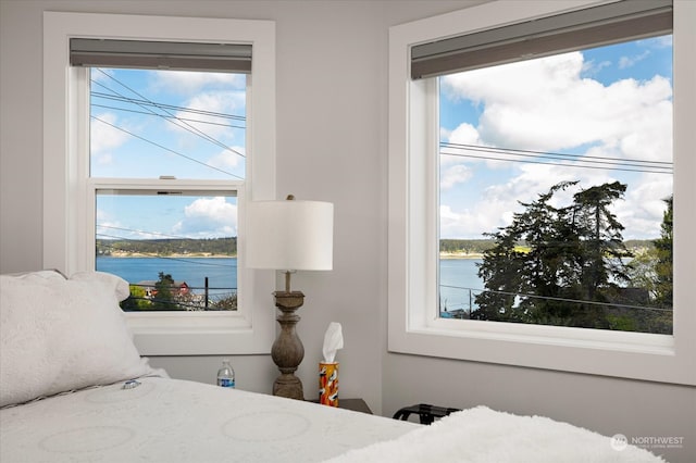 bedroom with a water view