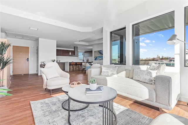 living room featuring light hardwood / wood-style flooring