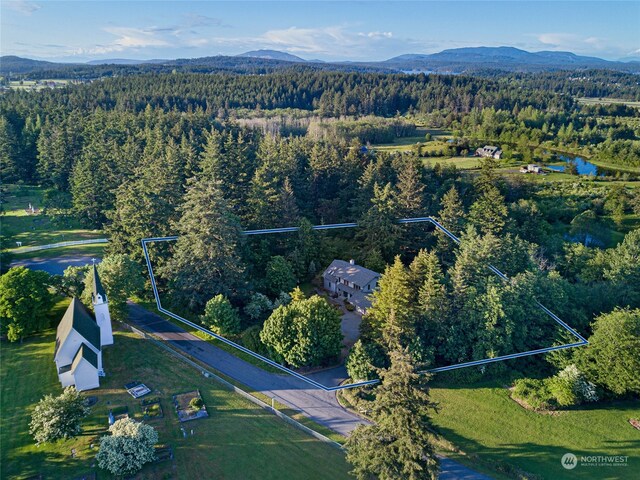 aerial view with a mountain view