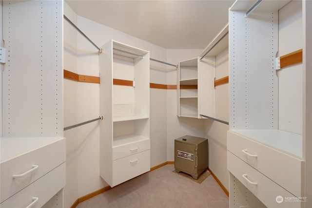 spacious closet with light carpet