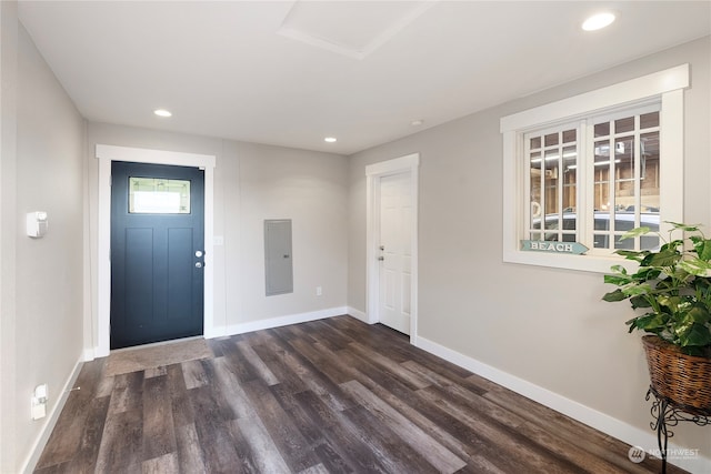 entrance foyer featuring dark wood-type flooring