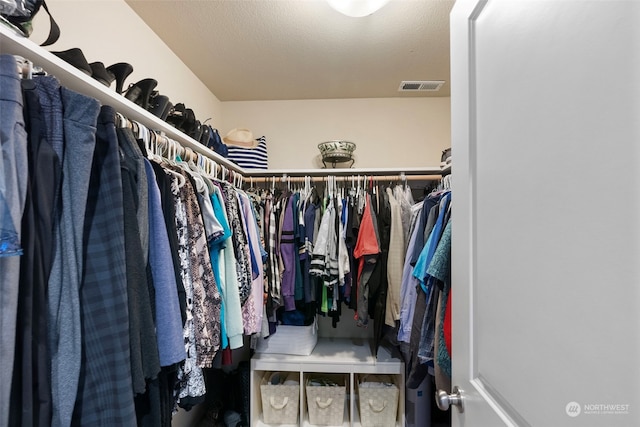 view of walk in closet