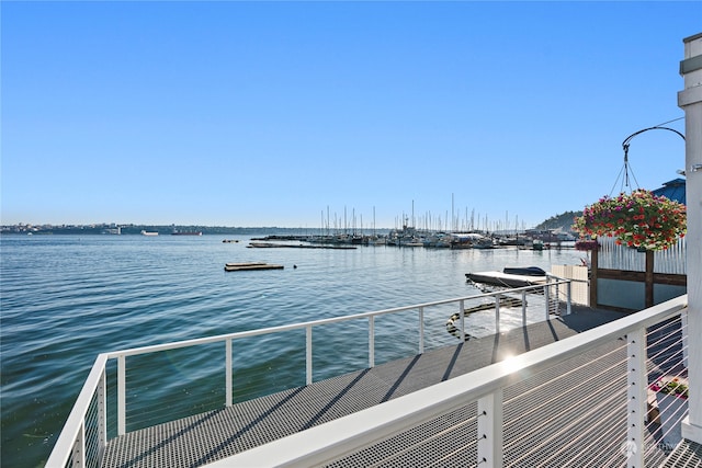 dock area with a water view