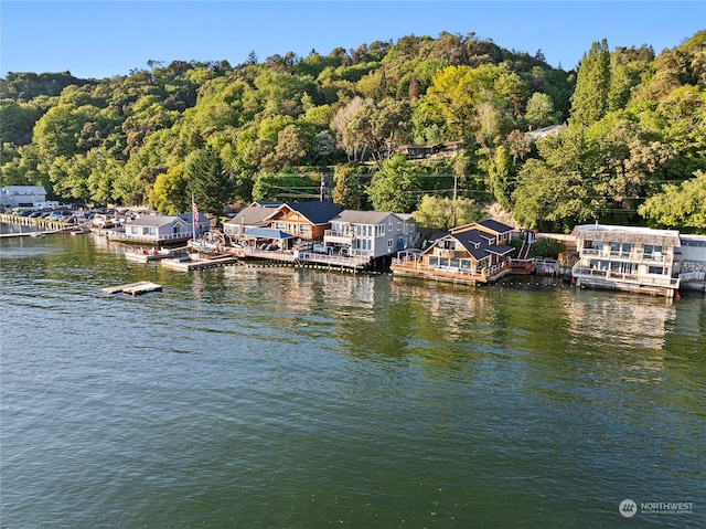 view of dock featuring a water view