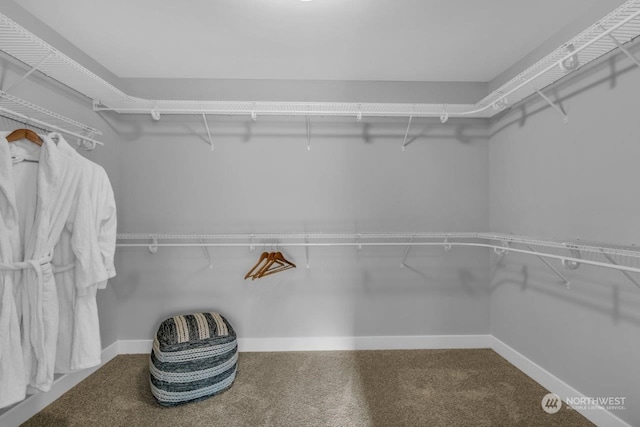 spacious closet with carpet floors