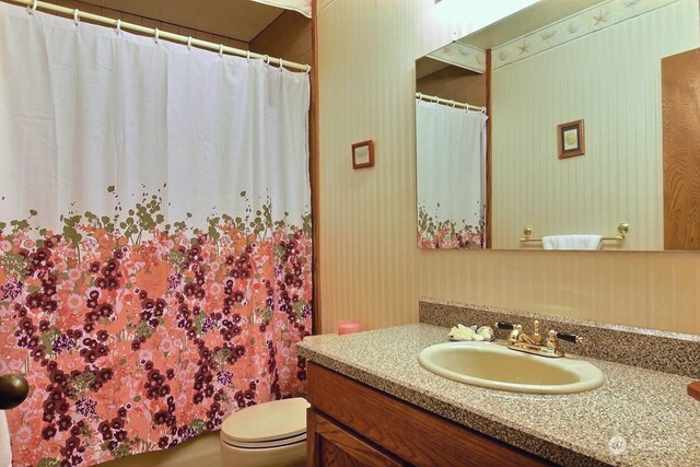 bathroom with vanity and toilet