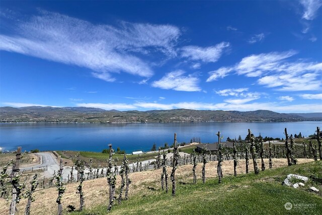 353 Karma Kanyon Dr, Chelan, WA 98816 - photo 7
