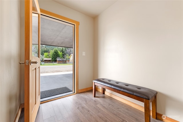 interior space with hardwood / wood-style floors