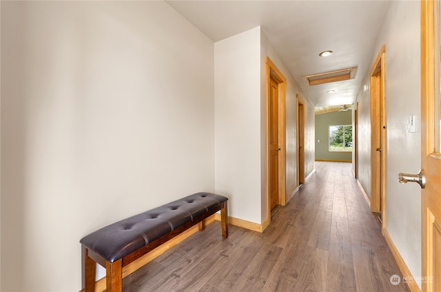 hall with hardwood / wood-style flooring