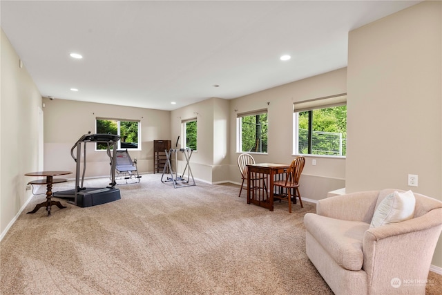 exercise room with carpet