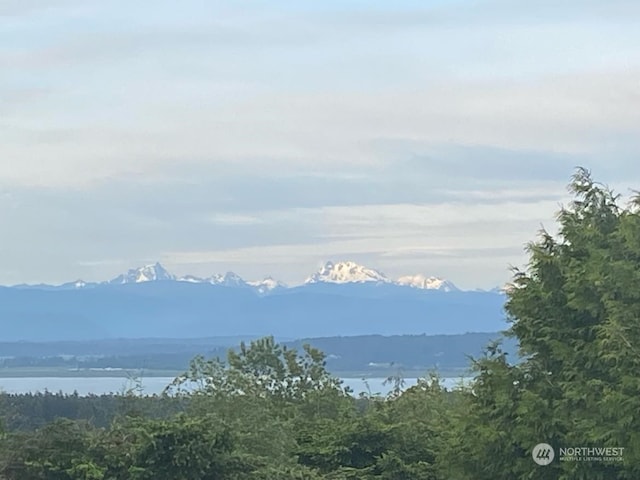 property view of mountains with a water view