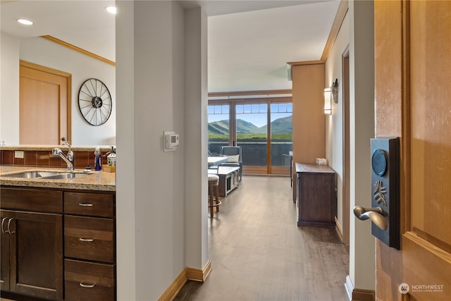 bathroom featuring crown molding, hardwood / wood-style flooring, vanity, and a mountain view