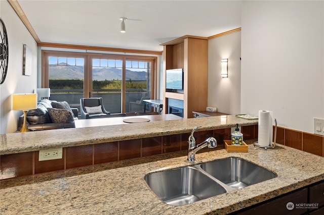 kitchen with crown molding, sink, light stone countertops, and a mountain view