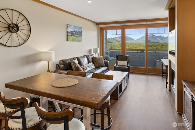 living room featuring dark hardwood / wood-style flooring, a mountain view, and crown molding