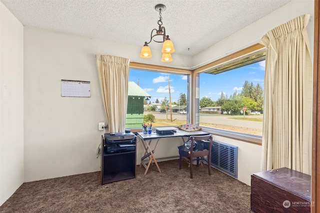 513 Cleveland Ave, South Cle Elum, WA 98943 - office space featuring dark carpet and a textured ceiling