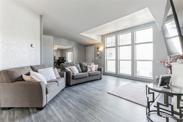 living room featuring wood-type flooring