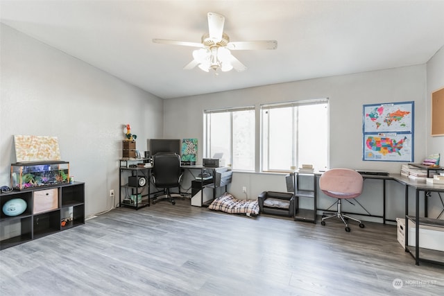 office featuring hardwood / wood-style flooring and ceiling fan