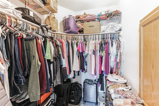 view of spacious closet