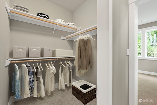 walk in closet with carpet floors