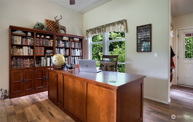 office featuring wood-type flooring