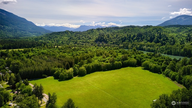 bird's eye view with a mountain view