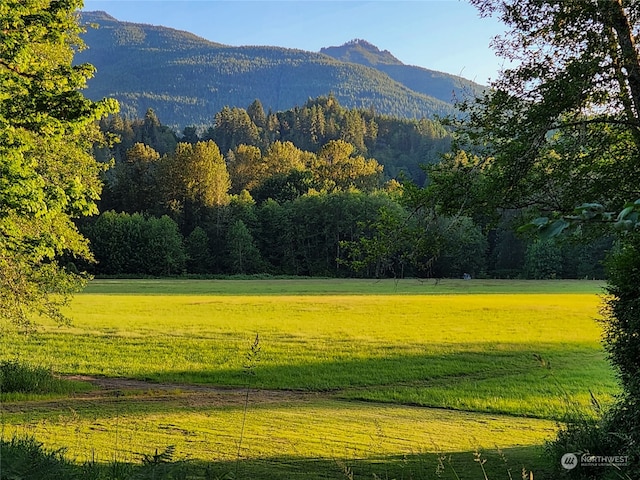 view of mountain feature