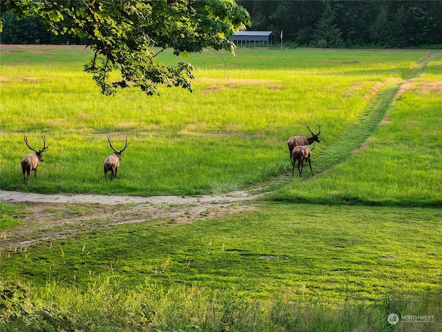 view of home's community with a rural view