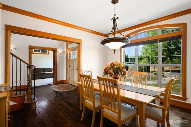 dining area featuring ornamental molding and dark hardwood / wood-style floors