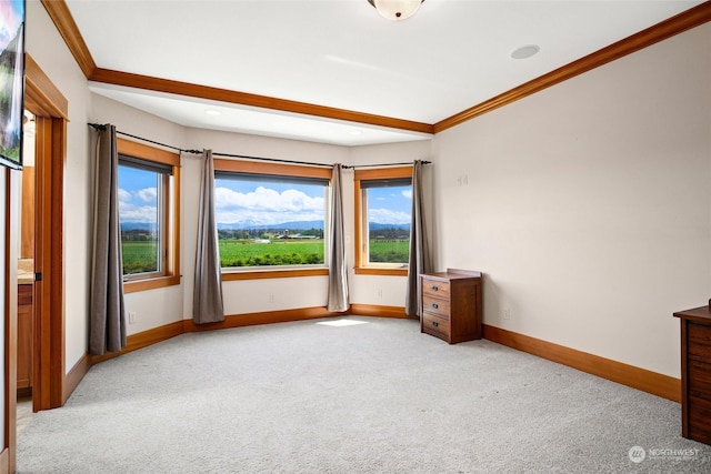 carpeted spare room featuring plenty of natural light and crown molding