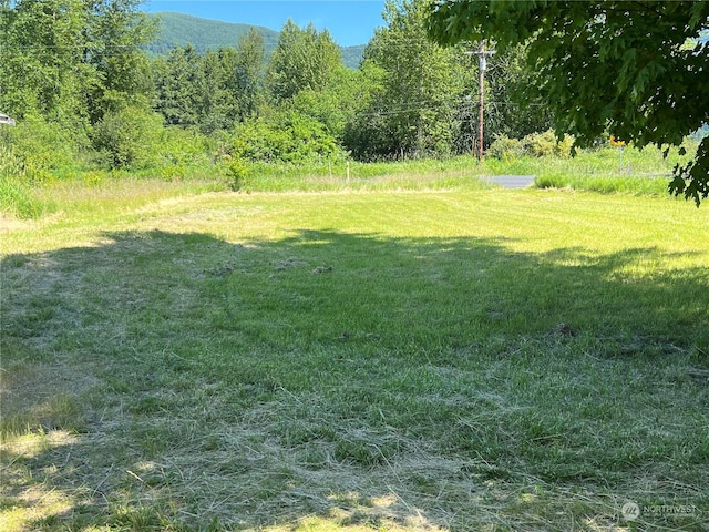 view of yard featuring a mountain view