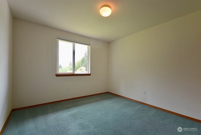 unfurnished room featuring carpet flooring