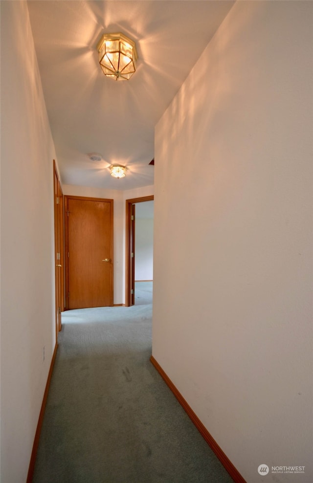 hallway with carpet flooring