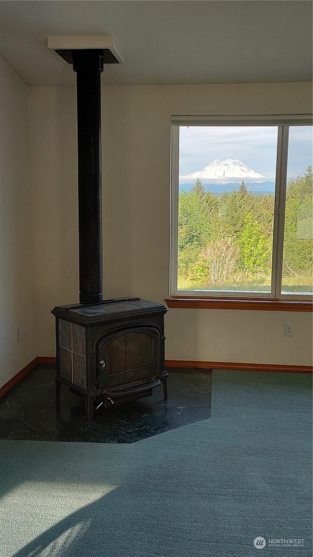 details with carpet flooring and a wood stove