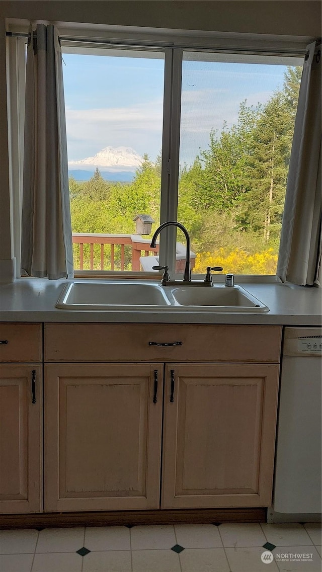 room details featuring white dishwasher and sink