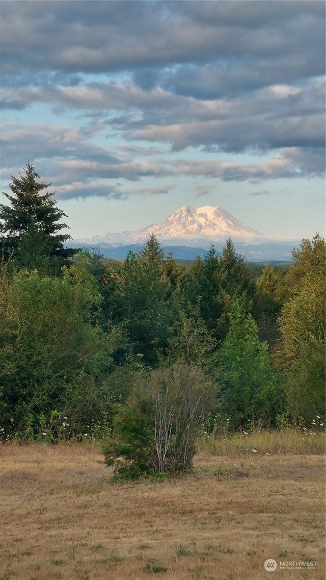 view of mountain feature