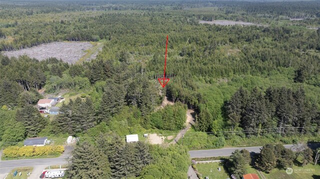 2724 State Route 109, Ocean City WA, 98569 land for sale