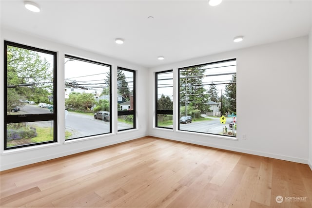 empty room featuring light wood-type flooring