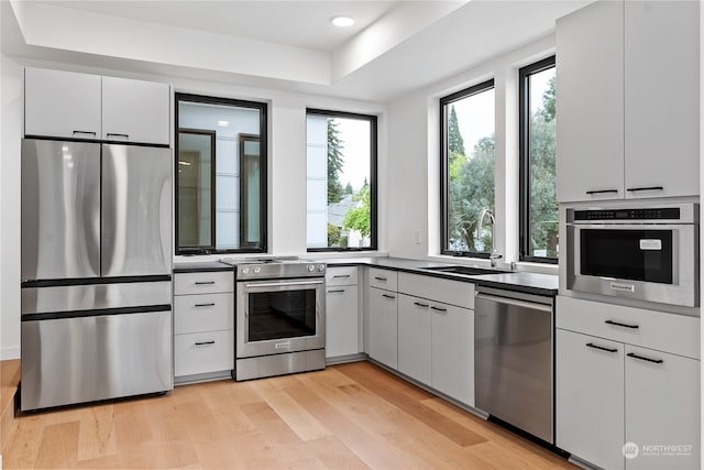 kitchen featuring a tray ceiling, sink, light hardwood / wood-style flooring, and stainless steel appliances