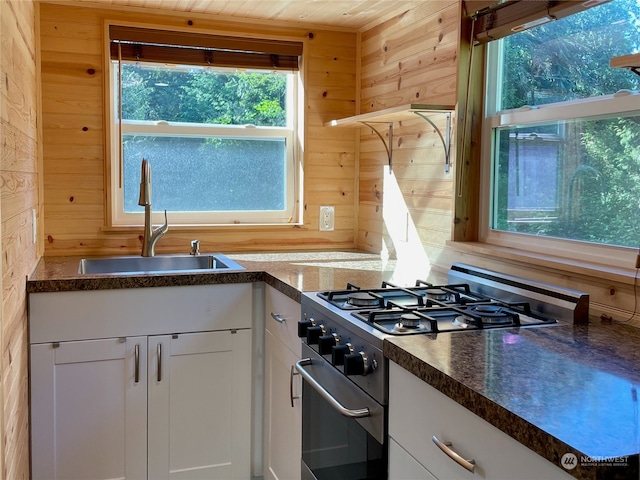 kitchen with white cabinets, wooden walls, high end stainless steel range oven, and plenty of natural light