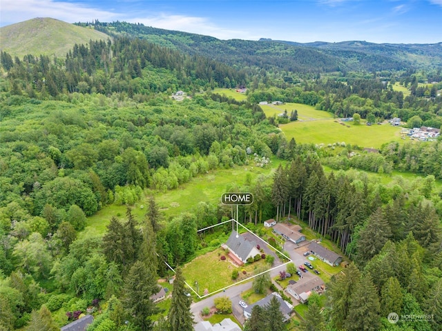 bird's eye view with a mountain view