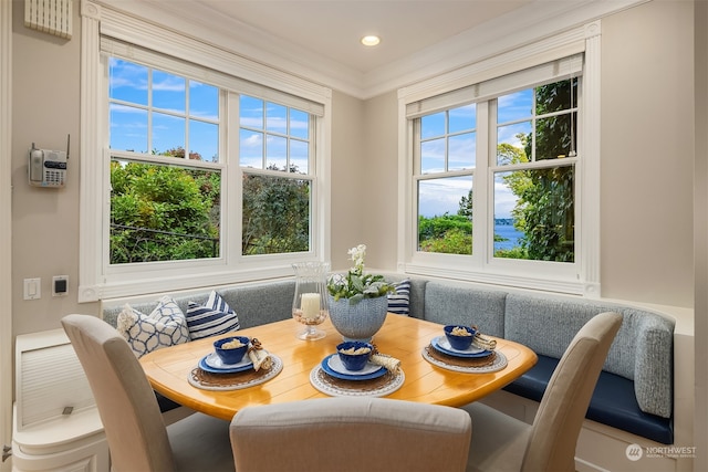 dining space featuring ornamental molding and a wealth of natural light