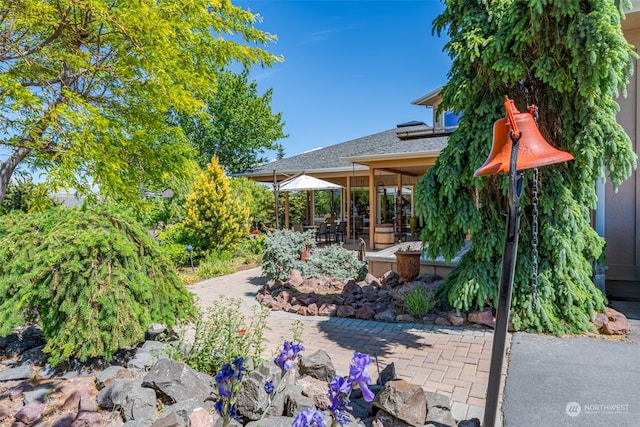 view of yard featuring a patio area