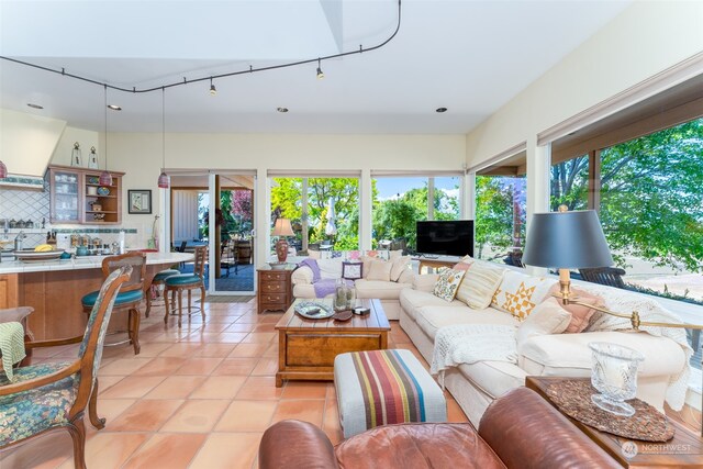 tiled living room with a wealth of natural light and rail lighting