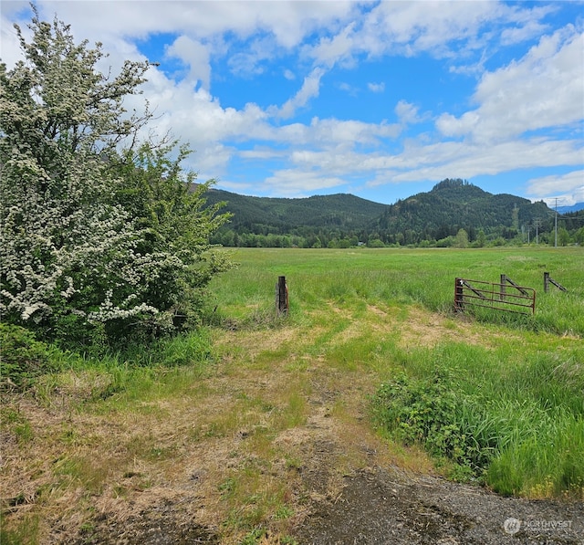 Listing photo 3 for 0 Davis Lake Rd, Morton WA 98356