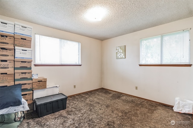 interior space with a textured ceiling and carpet floors