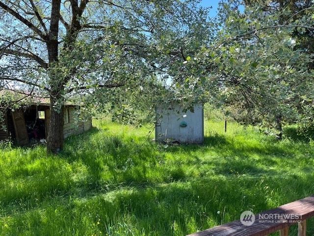 view of yard featuring a shed