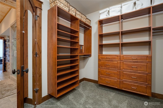 spacious closet with carpet floors