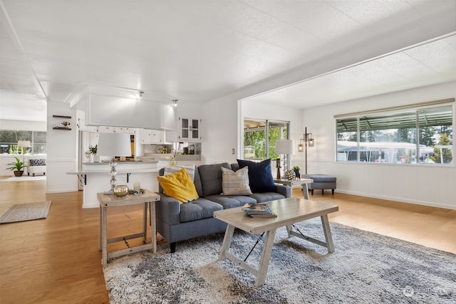 living room with light hardwood / wood-style flooring