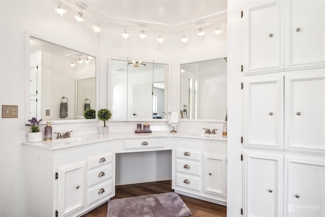 bathroom featuring hardwood / wood-style flooring and vanity