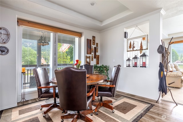 dining space with a tray ceiling, a wealth of natural light, and light wood-type flooring